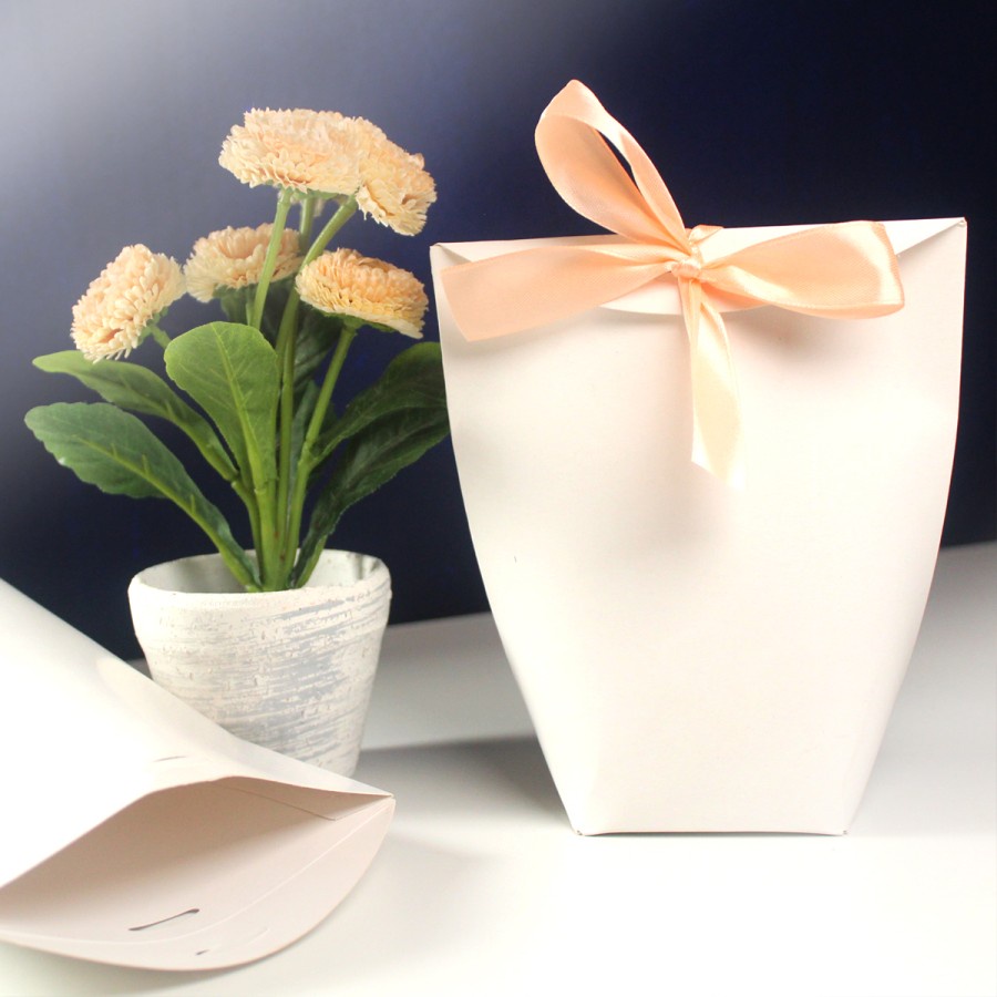 

kardus dus box kalina paperpouch paperbag goodie bag kemasan wedding souvenir ivory white ukuran 7x7x15.5cm