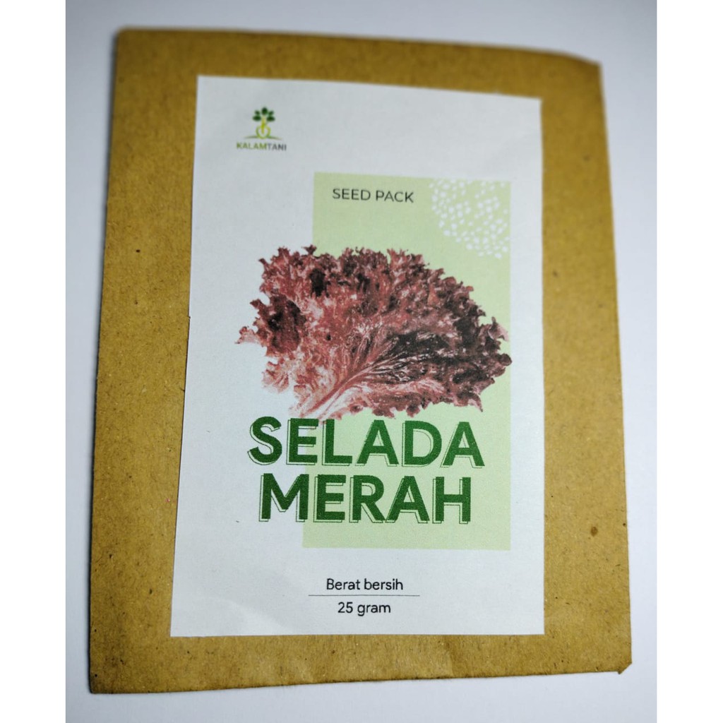 Benih Selada Merah Keriting
