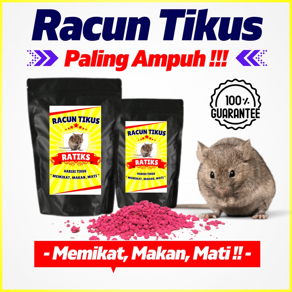 Jual RACUN TIKUS AMPUH MATI KERING TIDAK BAU OBAT PENGUSIR TIKUS