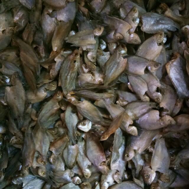

Sepat Kecil 1kg