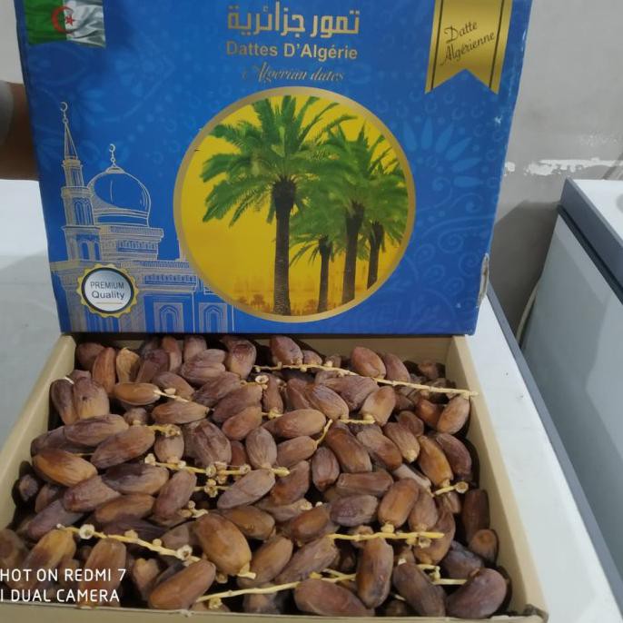

Kurma Tunis Tangkai Premium Quality Lapaklaris389
