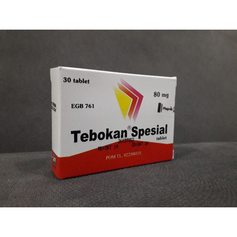 Jual EXTRACT GINKGO BILOBA EGB 761 TEBOKAN SPESIAL 80 MG Shopee Indonesia