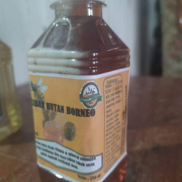 

Madu lebah hutan
