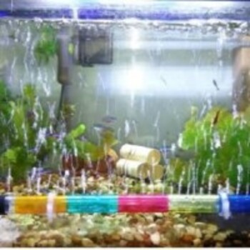 DANCING WARNA 40 cm /Air Stone / Pipa/Gelembung Air Aquarium