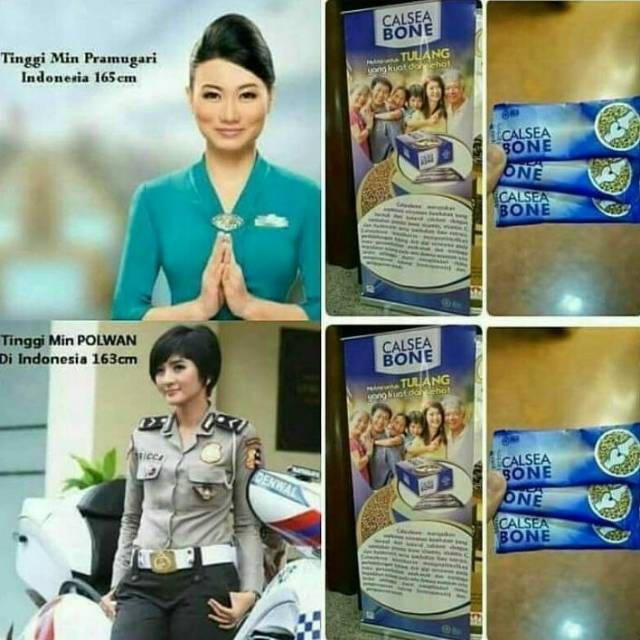 CALSEABONE ORI Peninggi Badan