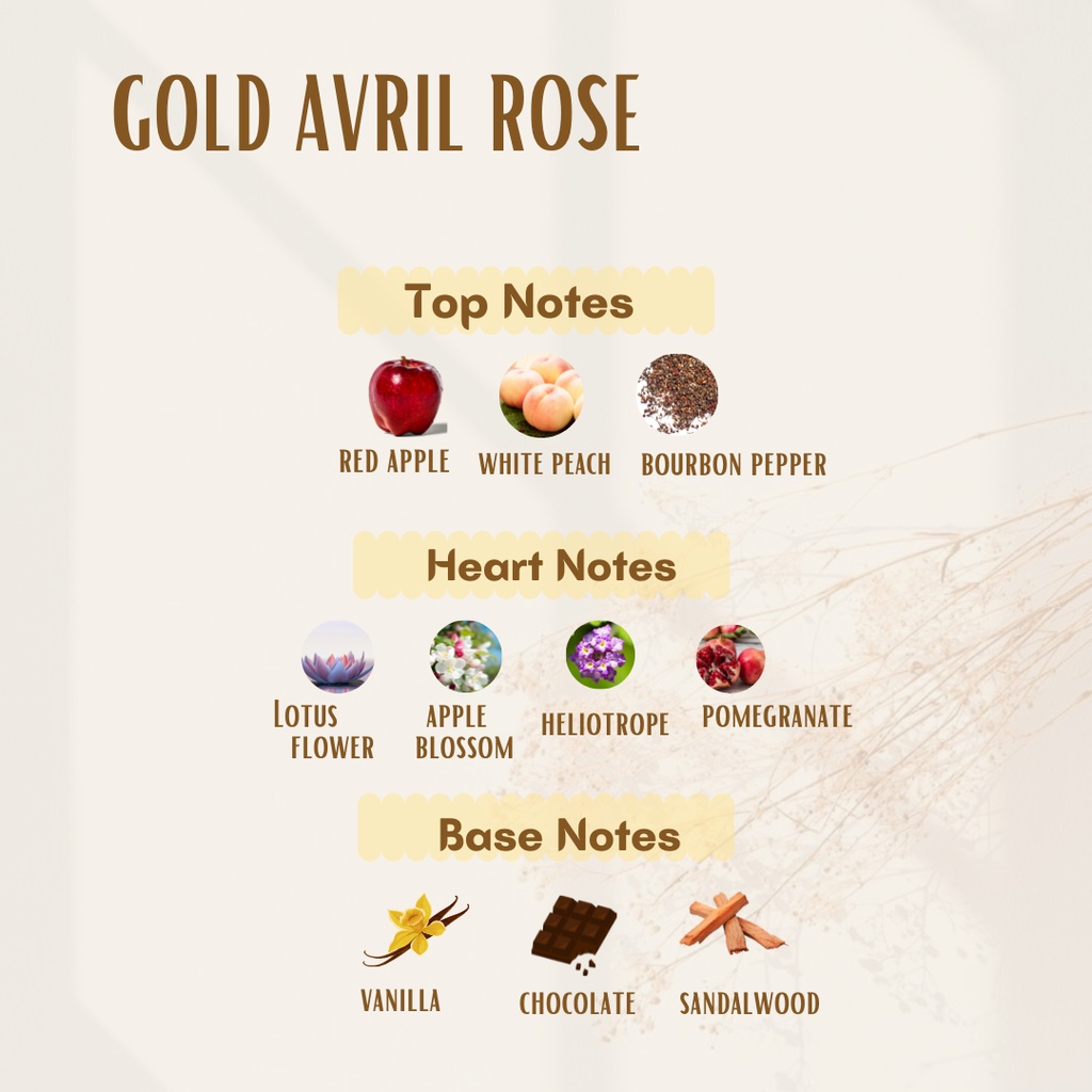 BARRISTAMA Gold Avril Rose Parfume - Inspired by Avril Vanity - BPOM