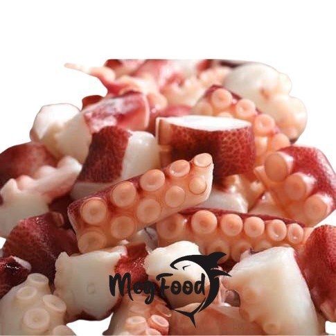 

Gurita Cutting 1 kilo