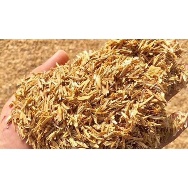 SEKAM PADI KERING 1KG