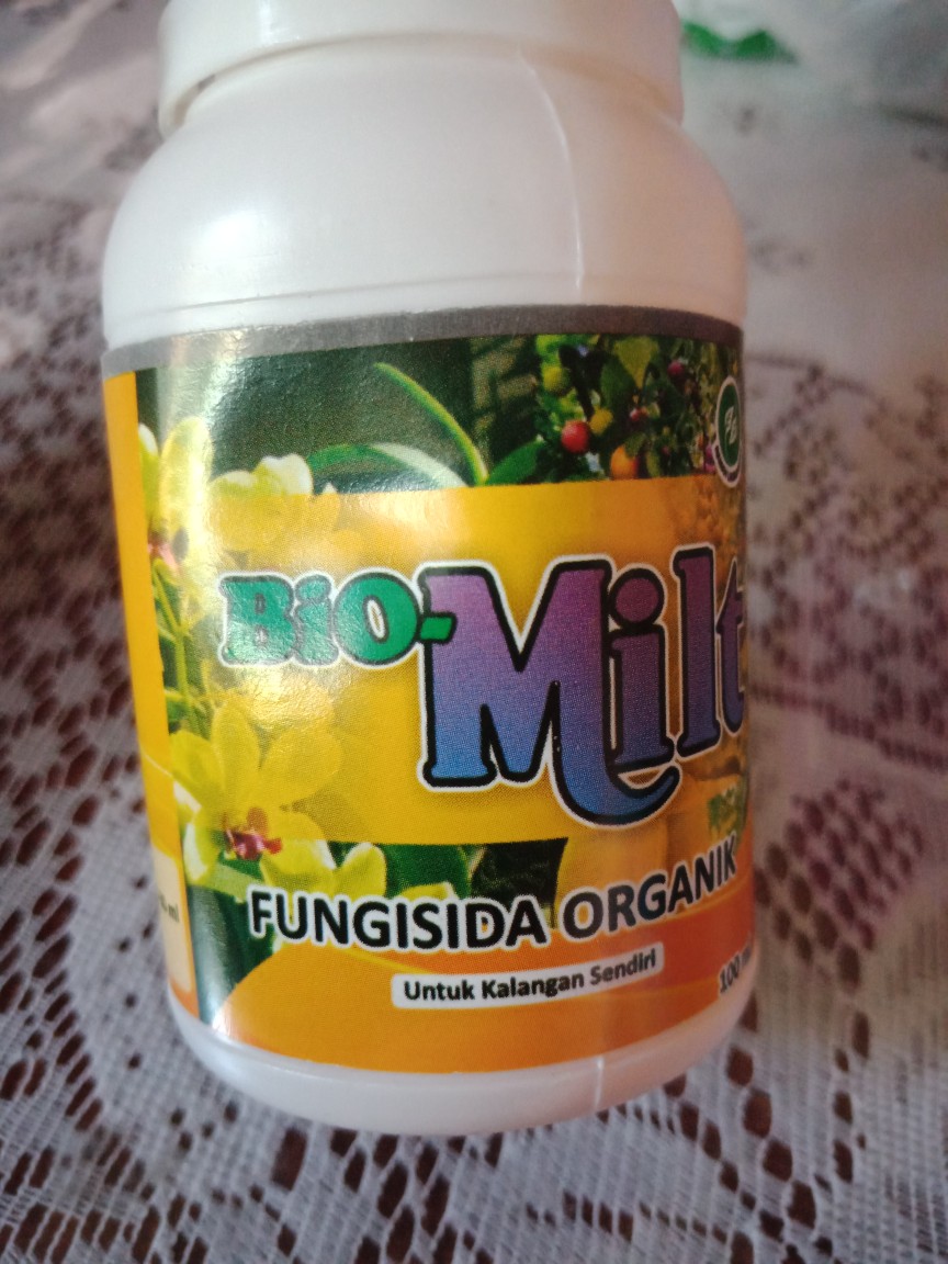 Fungisida Organik. Fungisida Milt. Aman Dan Ramah Lingkungan