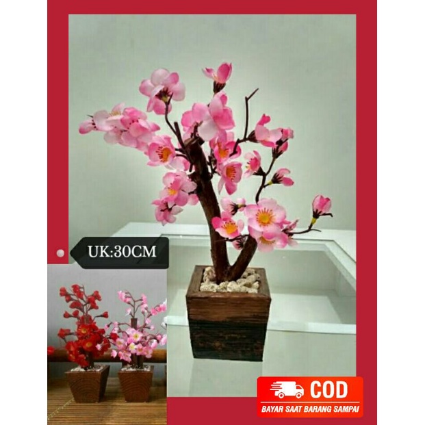 Pohon sakura,pohon sakura mini,pohon bunga sakura,pohon mehwa,pohon imlek,bunga imlek,bunga sakura