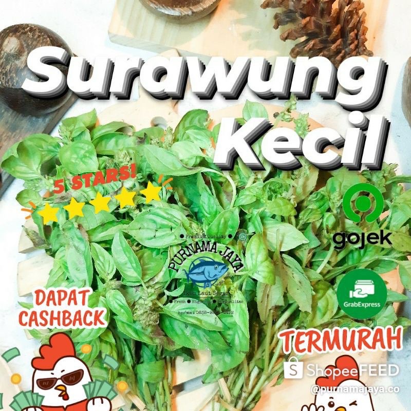 

surawung kemangi fresh