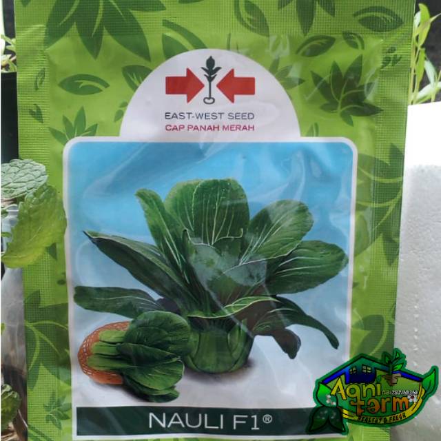 Benih Bibit Pakcoy 10 gram - Cap Panah Merah