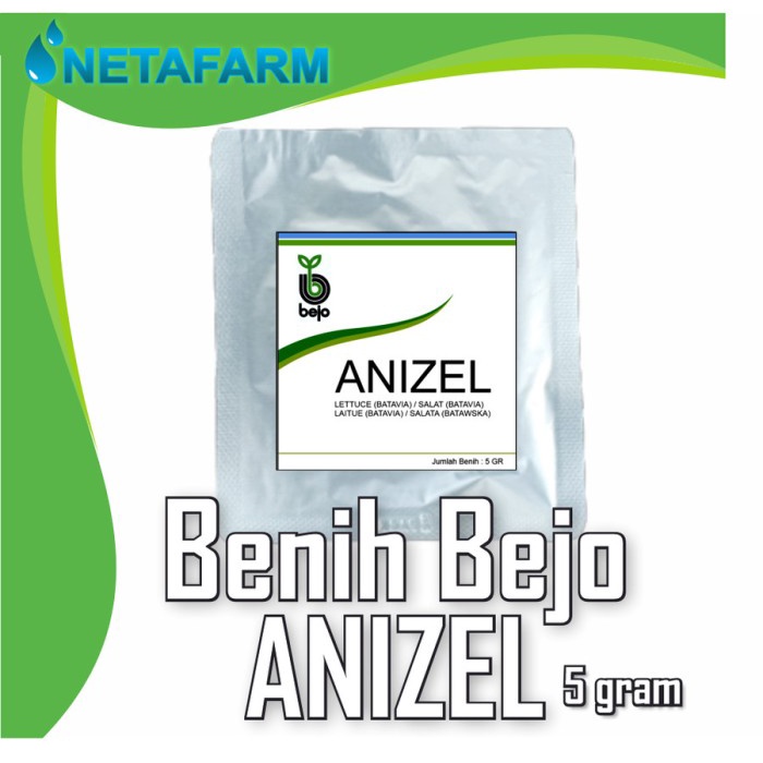 Habisinstok Benih / Biji / Bibit Bejo Anizel Selada Batavia - Kemasan 5 Gram Kmn01