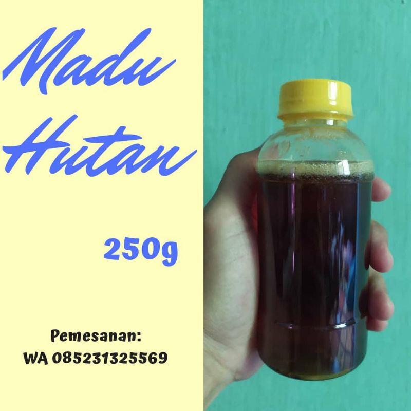 

[Gratis Ongkir] Madu Hutan Asli 200ml bergaransi