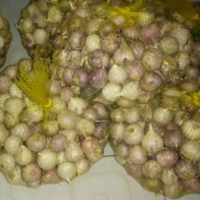 

Bawang putih tunggal ukuran kecil ( 1 kg)
