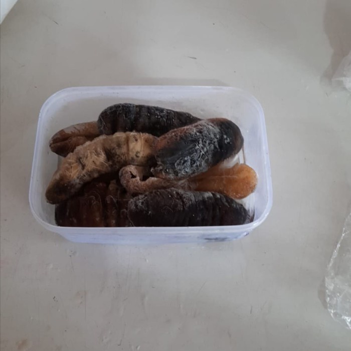 

TERIPANG HAISOM / HOISEM 500gr Bangka Belitung Frozen Beku TERENAK