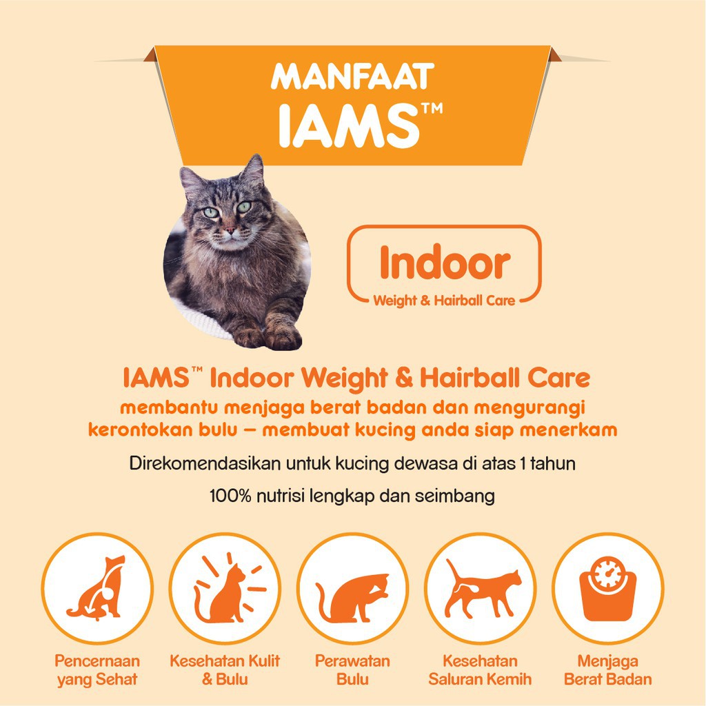 IAMS Makanan Anak Kucing Rasa Chicken 1kg & Bardi Water Fountain (Dispenser Minuman Kucing)-3