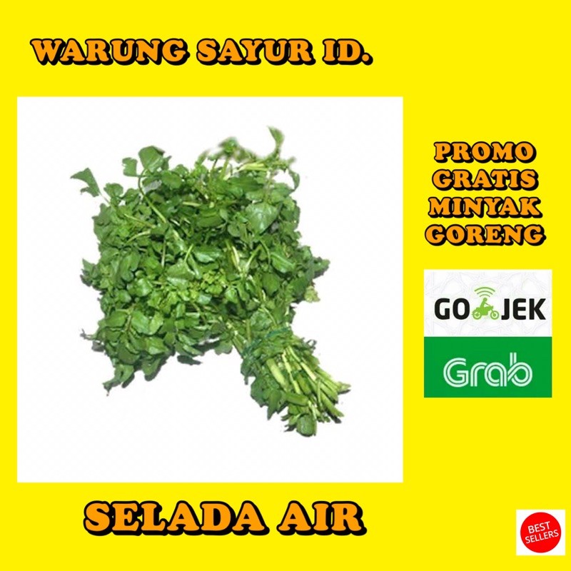 

SAYUR SELADA AIR PER 1 IKAT