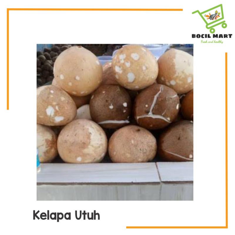 

[BOCIL MART] KELAPA UTUH + AIR KELAPANYA 1 BUAH