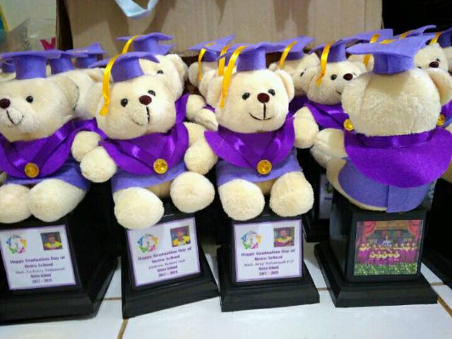 PIALA BONEKA WISUDA TEDDY BEAR 25CM PACKING KOTAK MIKA