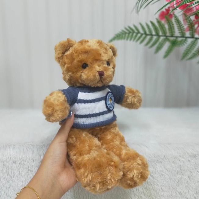 Boneka Bear Sweater 30cm/8&quot;boneka teddy bear/boneka lucu/boneka beruang/boneka kado ultah