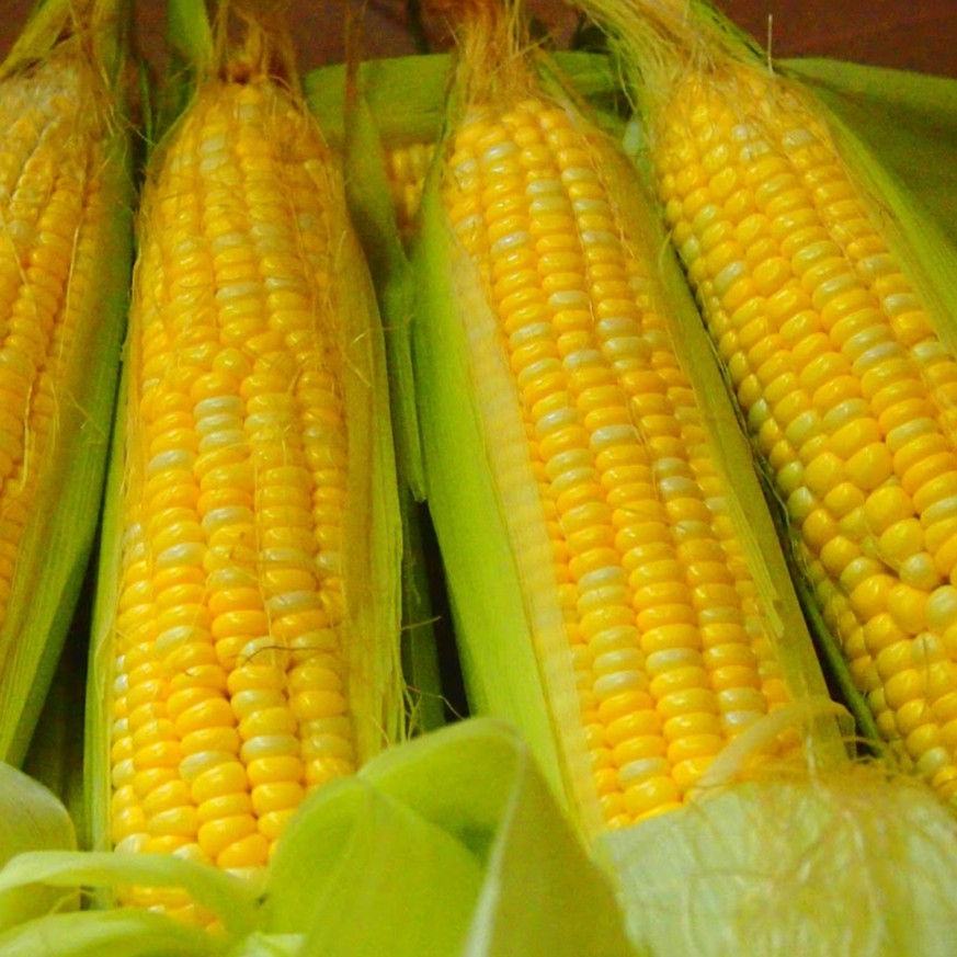 Jagung Organik / Organic Corn 1kg