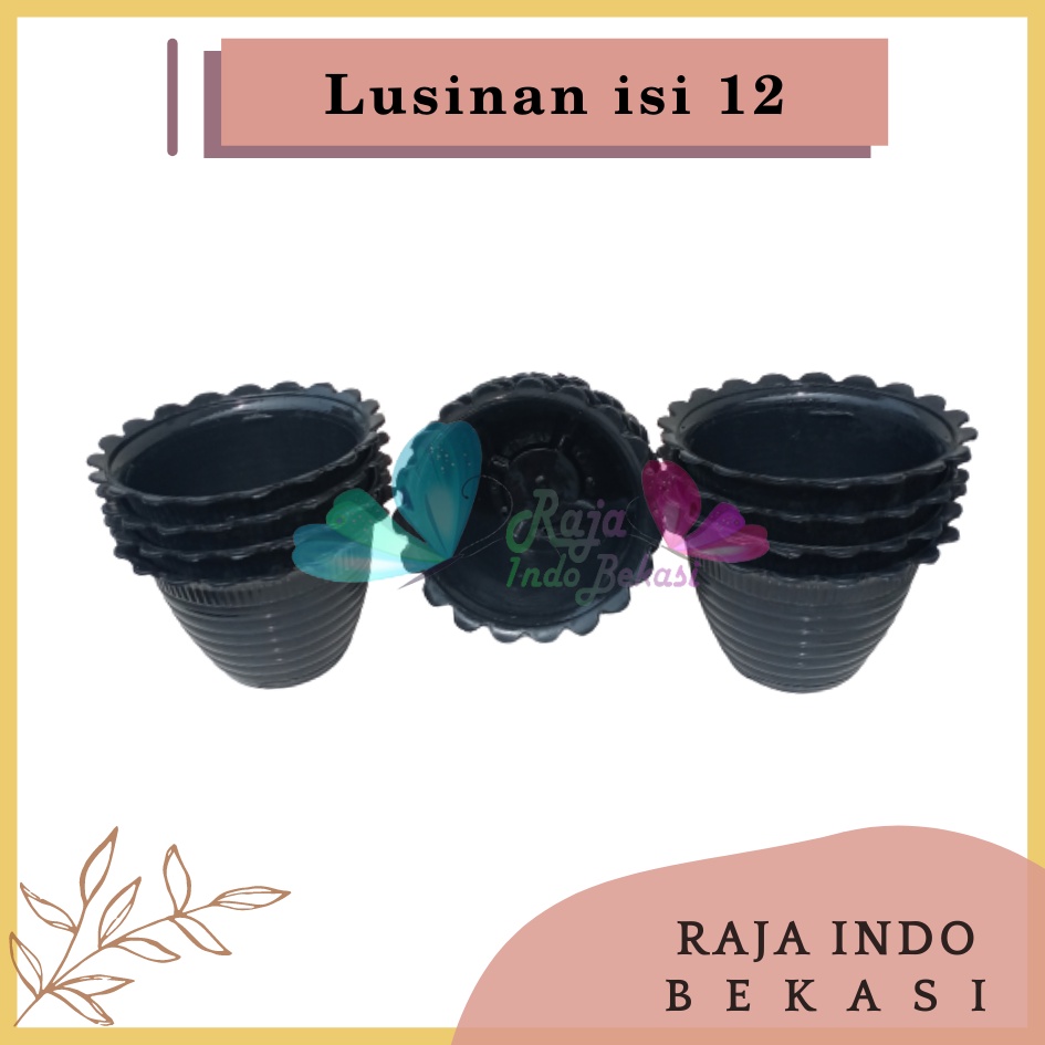 Lusinan Pot Super Tawon 10 Cm Hitam By Garden Of Love Pot Tawon 10cm Lusinan Tirus Jet Putih Hitam