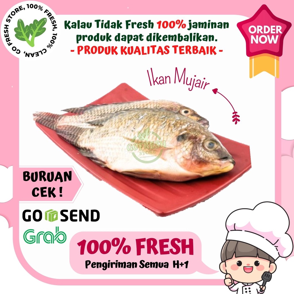 

IKAN MUJAIR LOKAL SEGAR MURAH 500 GRAM