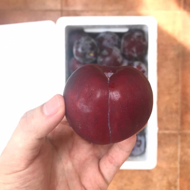

BUAH PLUM MERAH IMPORT 500g [HARVEST LINE]