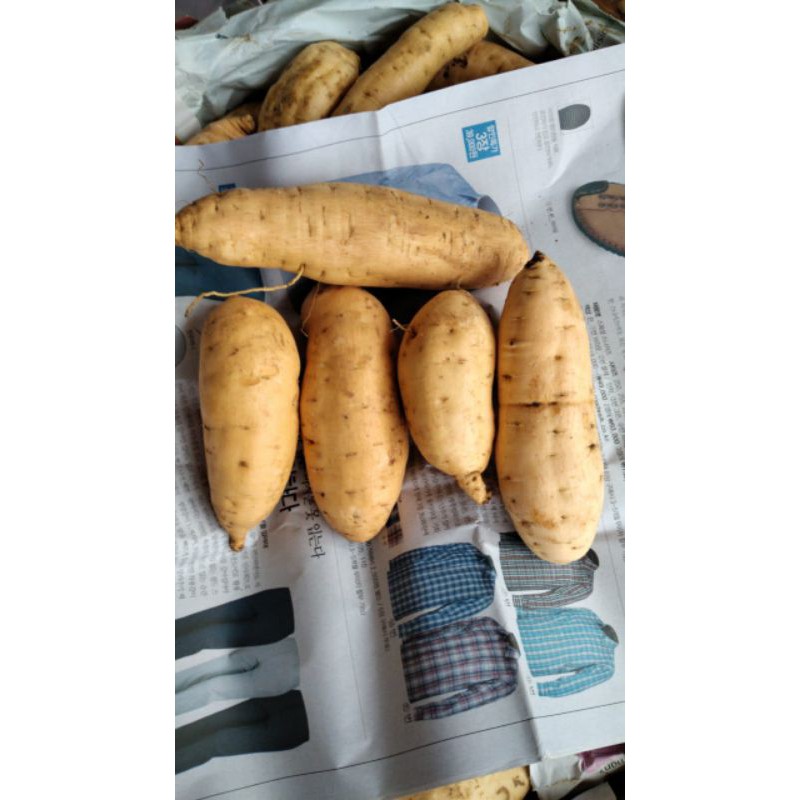 

UbiMaduCilembu
