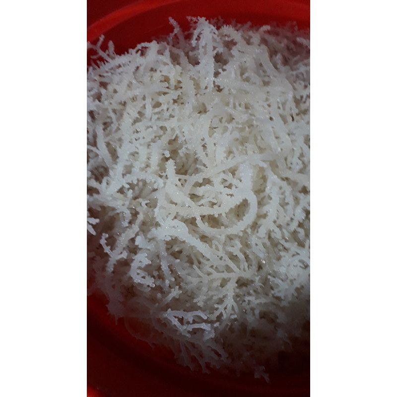 

rumput laut/1kg