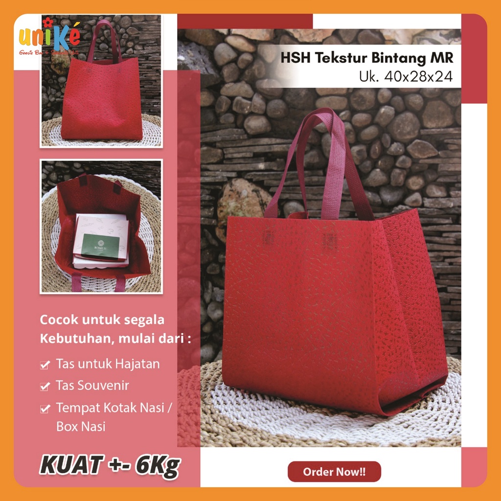 Tas Hajatan Tas Berkat Kekinian Goodie Bag Tas Nasi Kotak 24x24 Tas Spunbond Embos 28x24x25 D24
