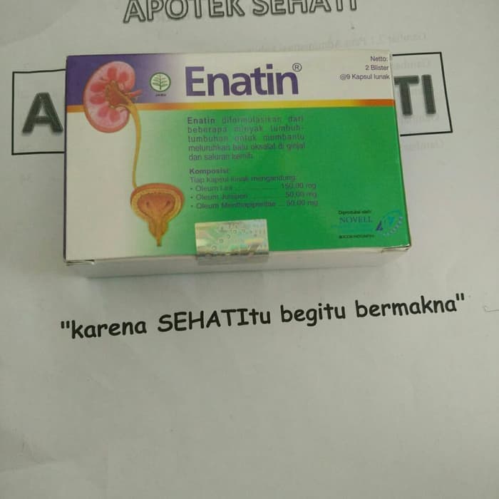 ENATIN BLISTER 9 KAPSUL OBAT HERBAL BATU GINJAL