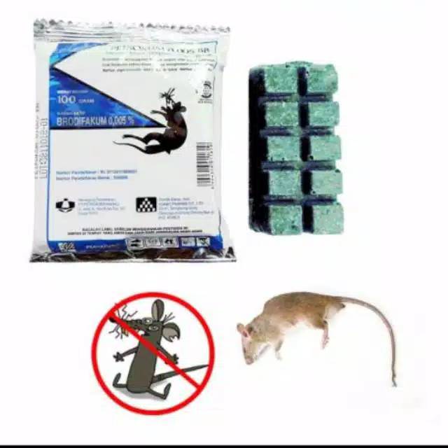 Racun Tikus PETROKUM Pembasmi Tikus Ampuh Mati Kering Tidak Berbau murah baru makassar