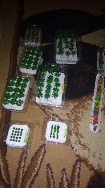 Pohon Bulat Isi 20 - Bahan Maket