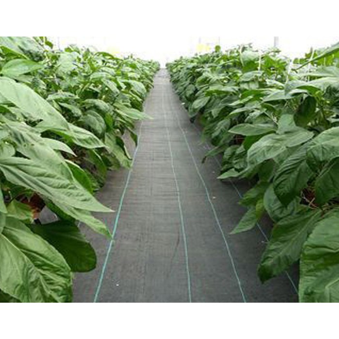 Weedmat Control - Meteran