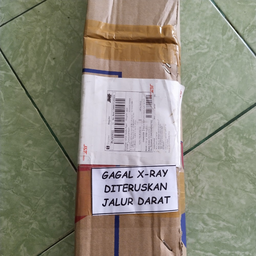 Bibit Jambu Kristal Siap Berbuah Dan Murah Banget