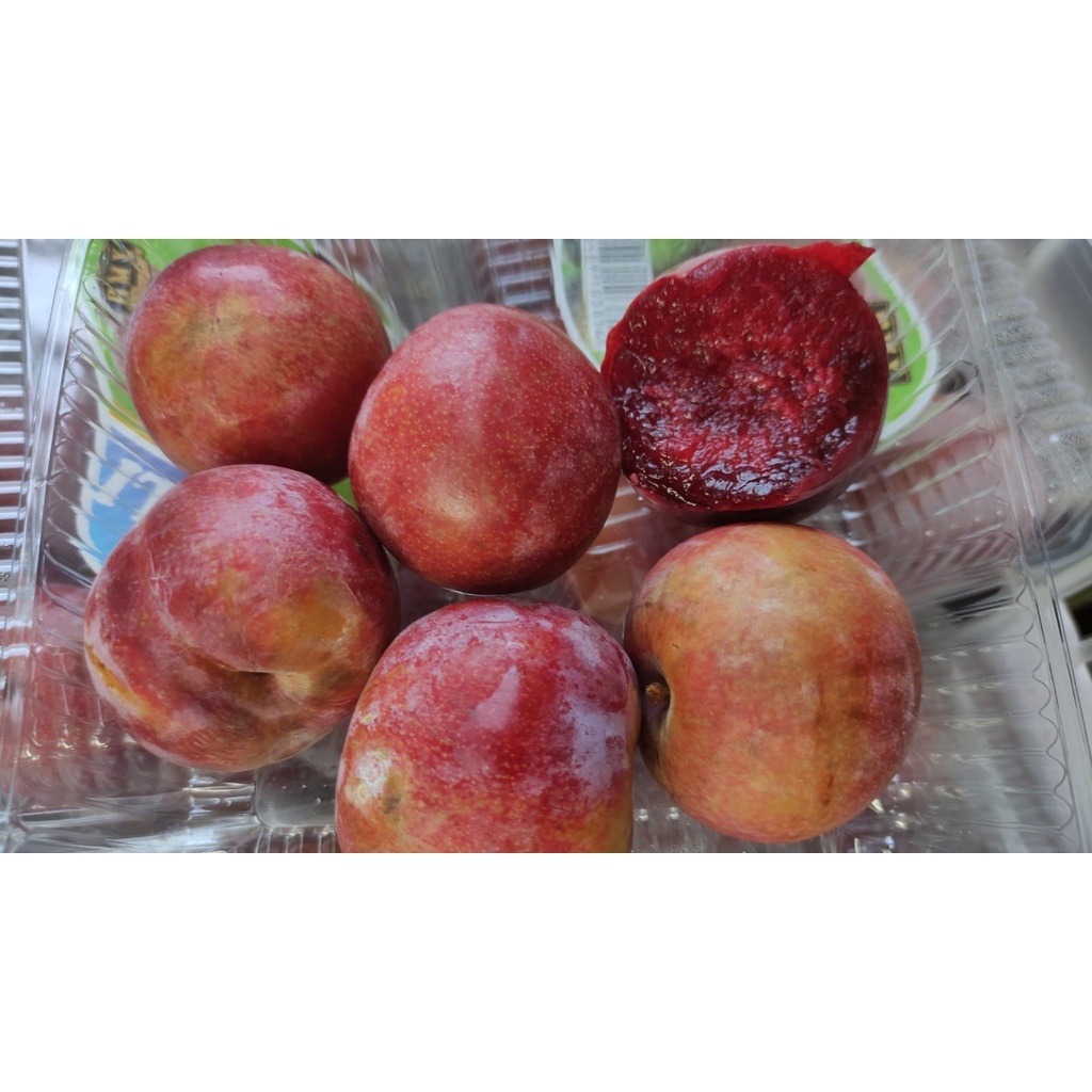

Plum Crispy [ 1 Pack ] Buah PREMIUM Fresh Fruit Segar Bandung