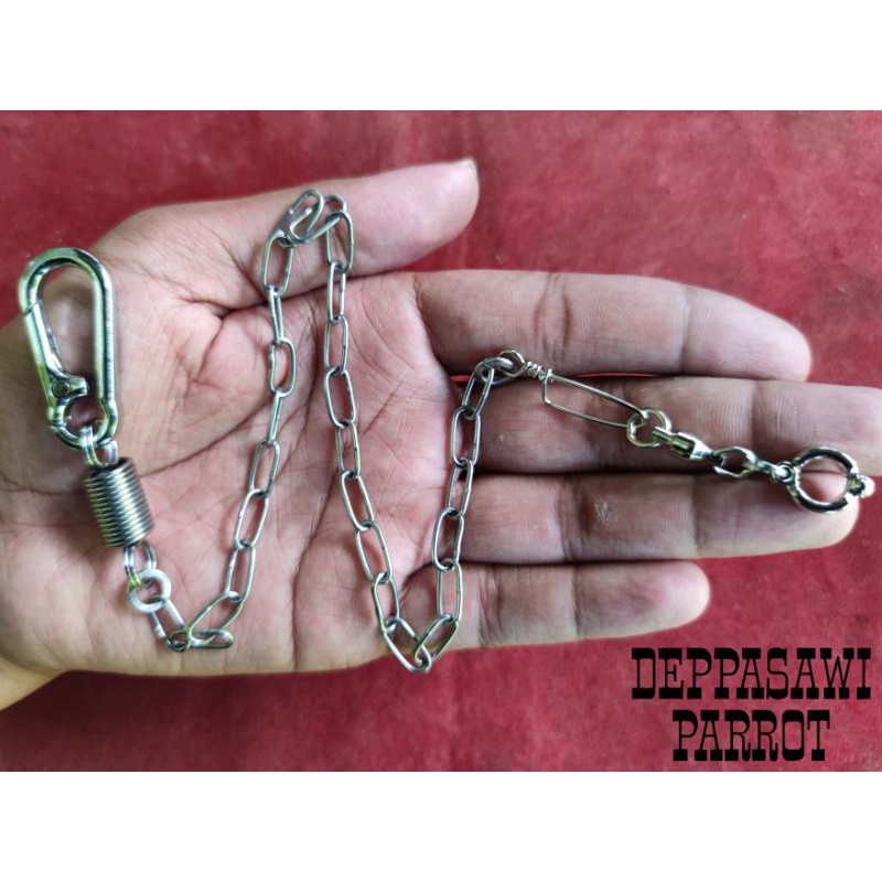 Rantai burung nuri stainless