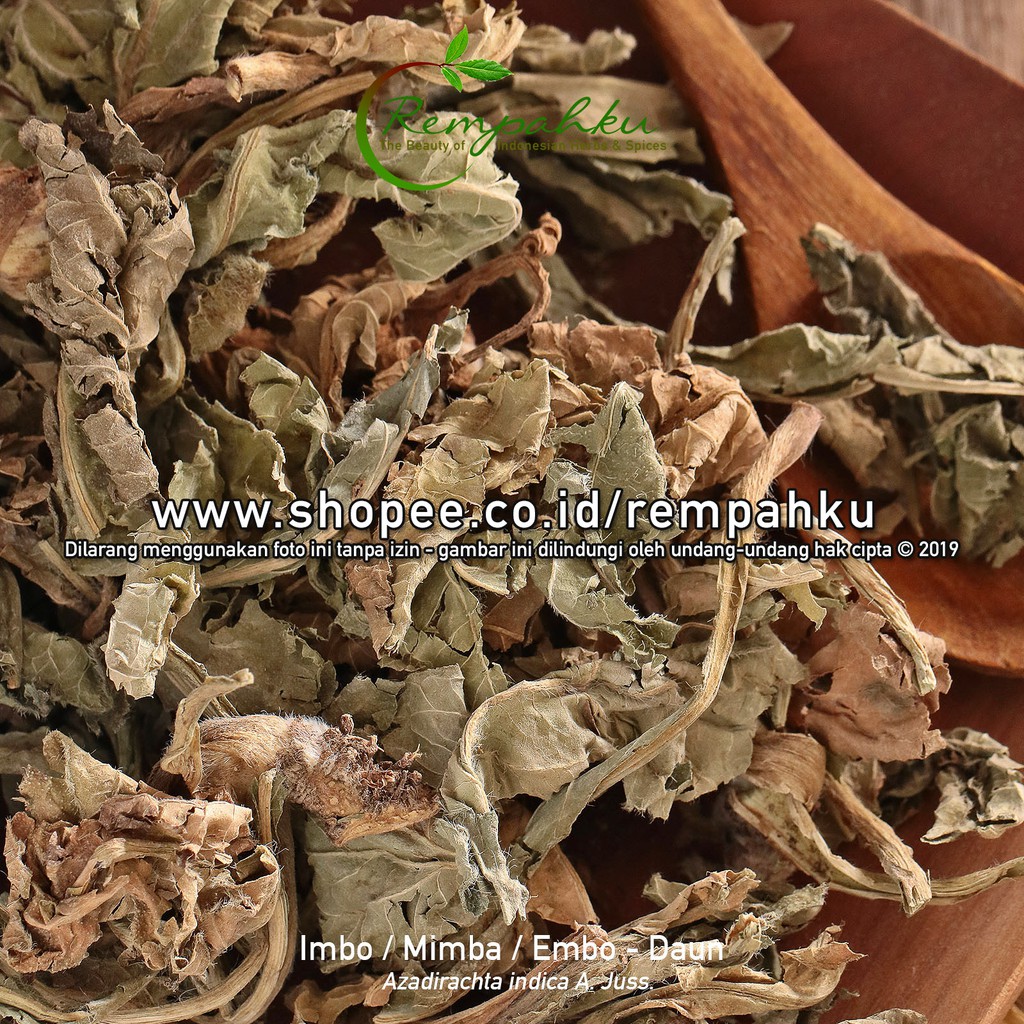 

Rempahku - Daun IMBO 10gr Sample Mimba Leaves Embo Azadirachta Indica