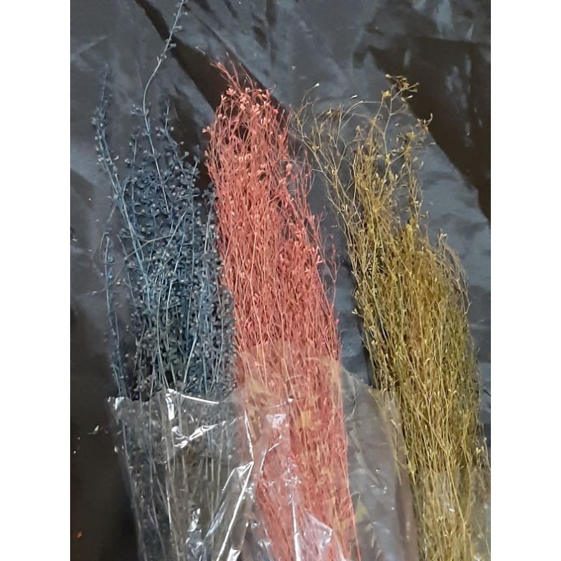 menir 1ikat/menir warna/menir kering/tanaman menir/dried menir