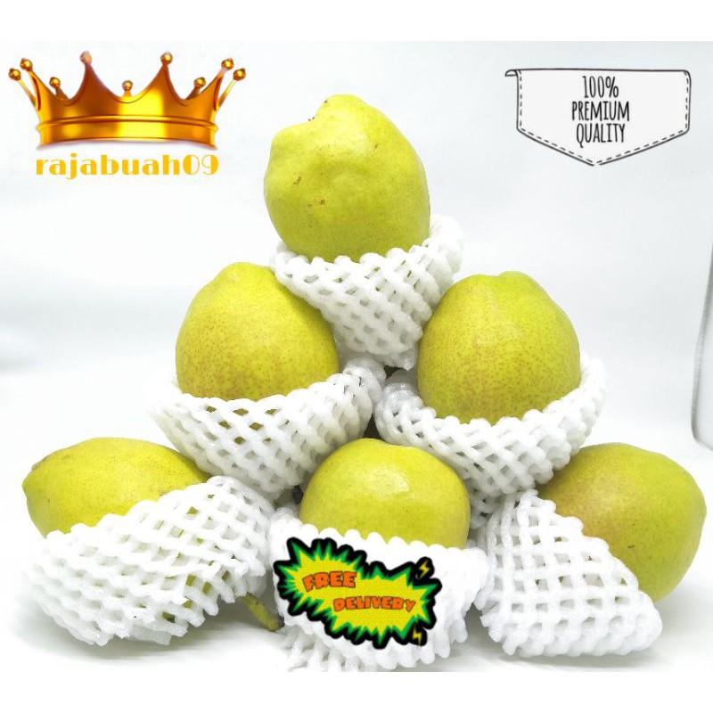 

Pir shianglie / Buah Pir 1 kg Fresh