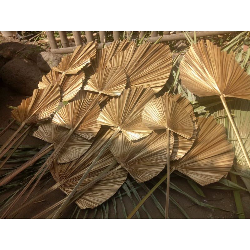 Daun Palem Gold | Daun kering rustic