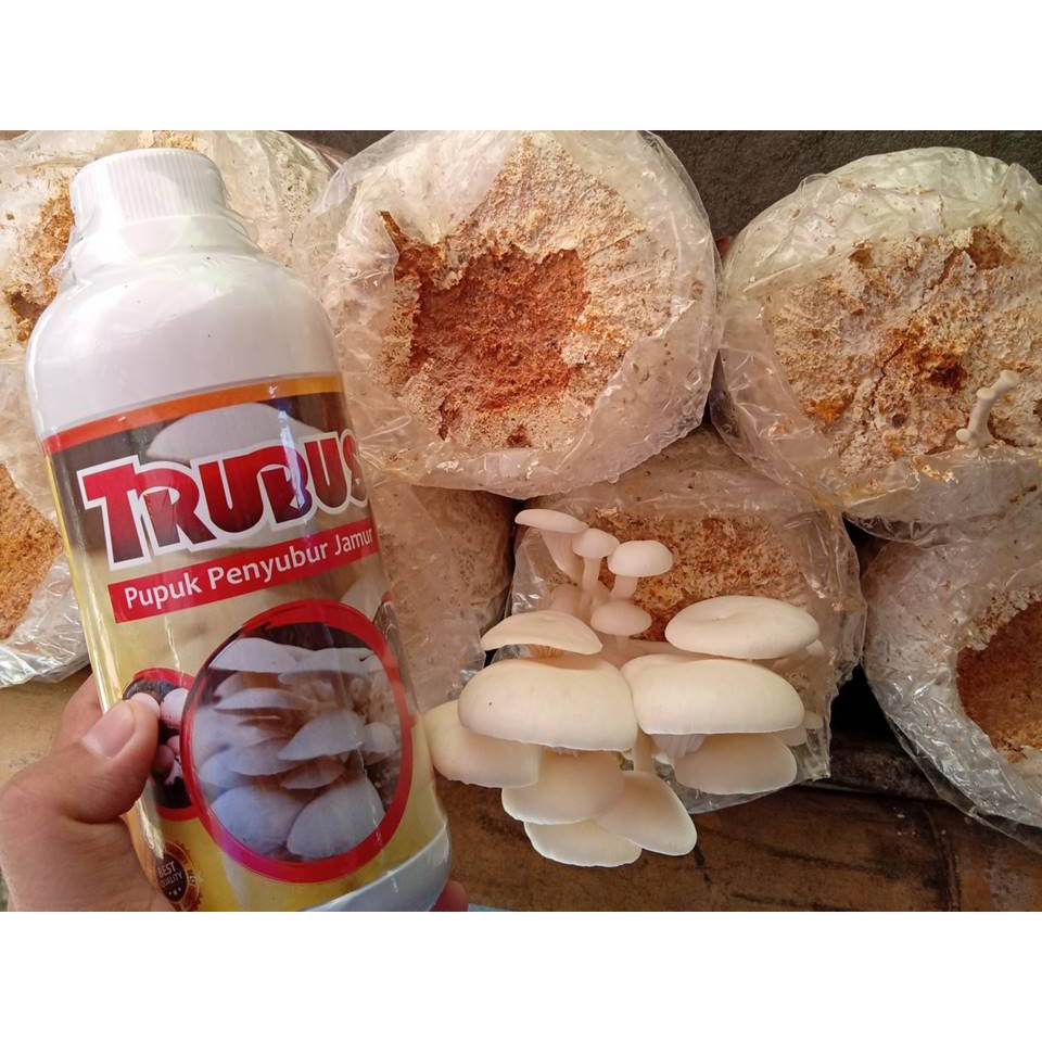 [MURAH] Trubus 600ml, Jual Pupuk Mempersubur Jamur Tiram Putih dan Cokelat