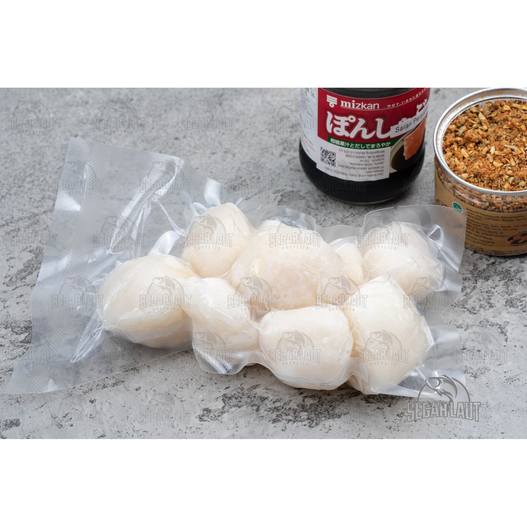 

SCALLOP US IMPORT FROZEN | SCALLOP USA | SCALLOP JUMBO 250 GR