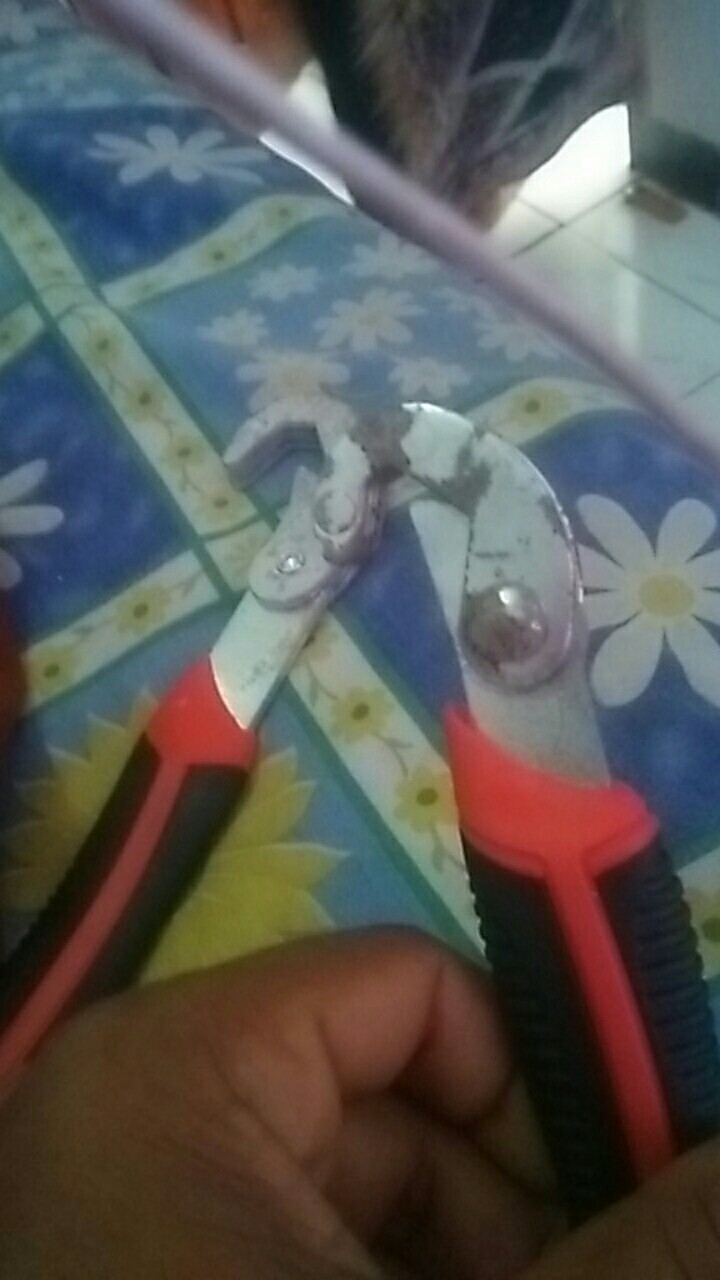 Merah Jld Japan Snap N Grip Kunci Pas Wrench Kunci Inggris 9 - 32 Mm