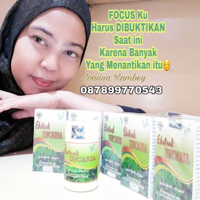 100% Original Ekstrak Uncaria | Daun Gambir