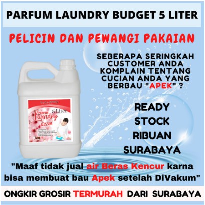 PARFUM LAUNDRY BUDGET 5 LITER