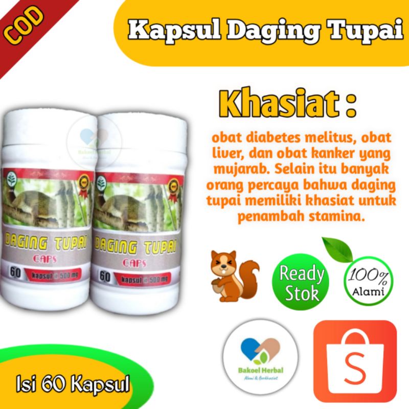 kapsul daging tupai Daging tupai kapsul Obat penambah stamina obat herbal rematik