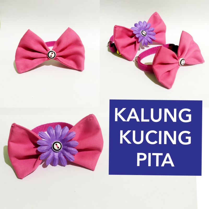 Kalung kucing PITA + LONCENG